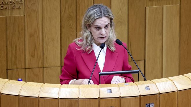 La valedora do pobo en el Parlamento, a principios de diciembre