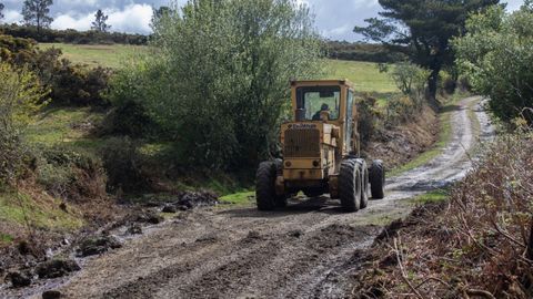 Limpieza de cortafuegos y pistas forestales en Ferrol, en una imagen de archivo