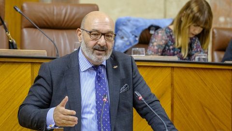 Alejandro Hern�ndez, portavoz de Vox en Andaluc�a