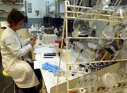 Una de las estancias del laboratorio de F�sica y Qu�mica de la Universidad de Vigo. 