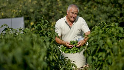 Jos&eacute; Luis L&oacute;pez, presidente de la IXP, con pimientos de la cosecha de este a&ntilde;o, que ya se empez&oacute; a  recoger
