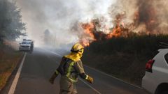 Incendio forestal en Rodeiro