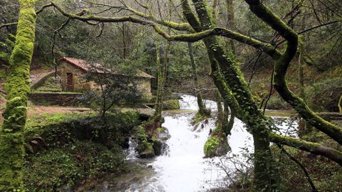 Ruta da Pedra e da Auga.