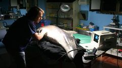 Labores en el centro del Cepesma