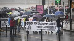Manifestaci�n contra la contaminaci�n en Gij�n