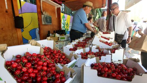 Edici�n del 2025 de la Festa da cereixa de Ribas de Sil