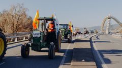 Tractorada de agricultores y ganaderos en Ourense
