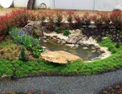 En el parque memorial tambi�n hay un peque�o estanque