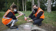 V�zquez, de Serpa, dice que la �poca ideal para el trampeo es la primavera para capturar reinas