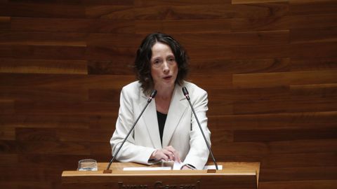 La consejera de Derechos Sociales, Melania �lvarez