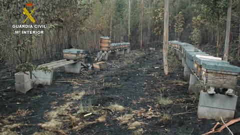 La Guardia Civil investiga los incendios forestales en Asturias