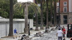 La palmera, de menor tama�o que el resto, est� junto al Copacabana