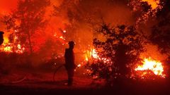 Efectivos de la UME en el incendio de Laza.