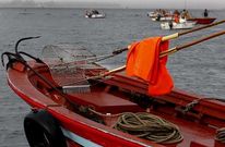 Varias cofrad�as solicitan la interrupci�n de la actividad ante la debilidad del marisco.