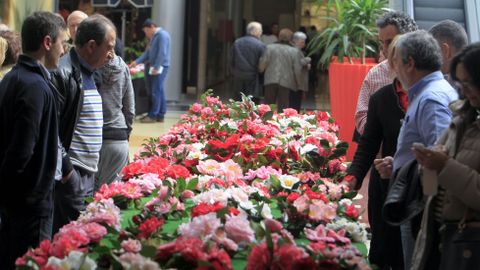 Los expositores montaron la muestra que se puede visitar hasta el domingo