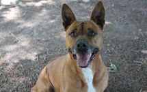 Tania, con nueve a�os, busca adopci�n