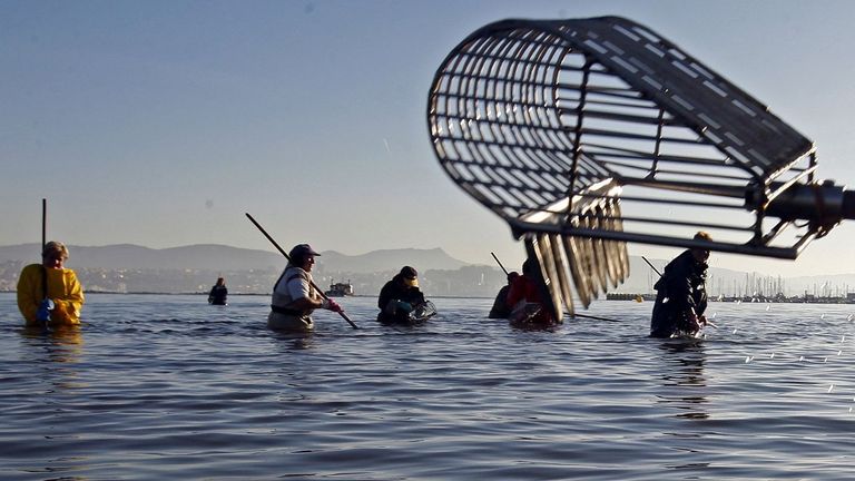 Imagen de archivo de&nbsp;mariscadoras faenando&nbsp;en A Xunqueira (Moa&ntilde;a).