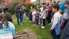 Plantaci�n de �rboles organizada por la Asociaci�n As Termas.