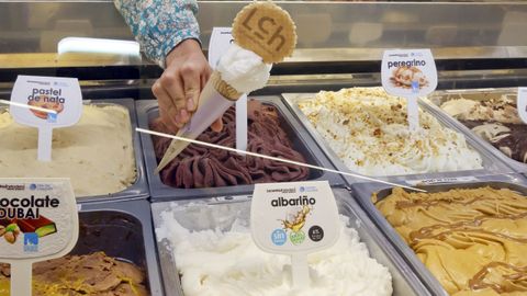 Algunas de las variedades de helados de la tienda cambadesa
