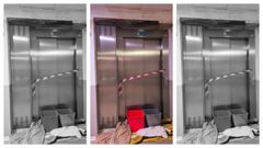 Tuber�as que revientan en el Souto de Leixa