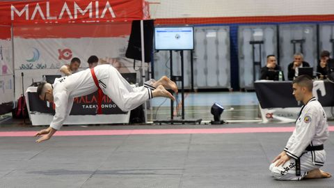 Campeonato gallego de hapkido en el Pabell�n de Barra�a