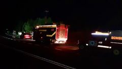 En la Costa da Morte se han producido numerosos accidentes en las carreteras por impactos con los jabal�es. El de la imagen corresponde a uno en Vimianzo