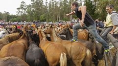 Las im�genes m�s espectaculares de la Rapa das Bestas de Vimianzo