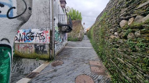 La mujer, de nacionalidad h�ngara y de mediana edad, se precipit� desde una altura de unos cinco metros. Cay� hacia el interior de la Muralla, en el cruce de la r�a Falc�n y la r�a do Moucho, muy cerca de donde se derrumb� la Muralla hace unos meses