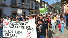 Manifestaci�n en Infiesto contra los ataques de lobo