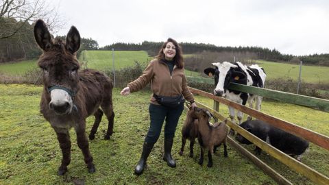 El refugio de animales Acougo, en im�genes