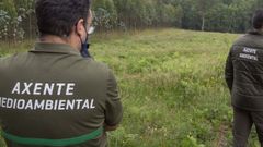 Los agentes medioambientales tienen consideraci�n de autoridad p�blica en el ejercicio de sus funciones como polic�a de aguas