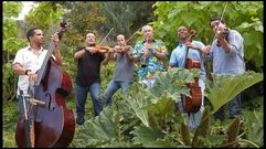 Quinteto Cimarr�n, formado por m�sicos cubano gallegos, y Paquito de Rivera.
