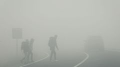Im�genes del Camino en una densa niebla en Gonzar