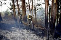 La mayor incidencia de incendios se registr� el pasado mes de agosto.