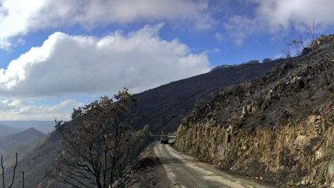 El monte de Deva, hace un a. Esta pista lleva a Deva, una aldea en la que solo vive un vecino, tena el monte totalmente arrasado