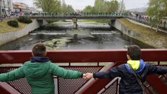 Ni�os de dos colegios participan en un abrazo simb�lico.