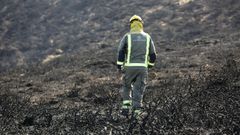 El incendio de As Pontes, en im�genes