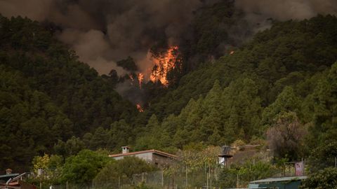 Las llamas acechan un n�cleo de poblaci�n cercano a las localidades de Candelaria y Arafo, en Tenerife