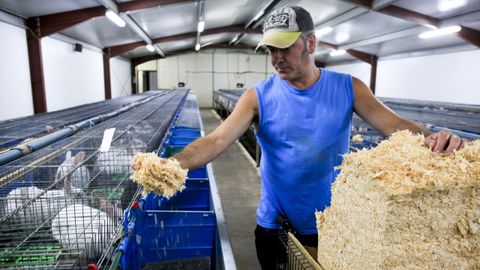 Gonz�lez, preparando camas para animales en su explotaci�n