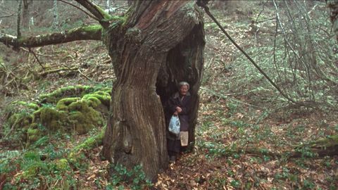 �O que arde�, de Oliver Laxe, es uno de los �ltimos filmes financiados por CREA