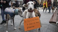 Los perros de caza quedaron excluidos de la ley