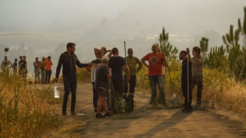 Incendio forestal en Meln, entre las aldeas de Quins y Vilaverde