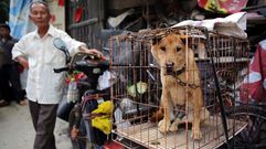 Yulin se prepara para degustar perro