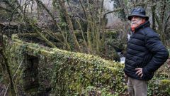 Pablo Rodr�guez, Oitav�n, fala sobre o bosque de Ridimoas