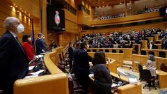 Minuto de silencio por las v�ctimas de la violencia de g�nero en el Senado.