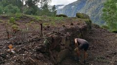 En el lugar de O Preguntoiro, en la margen derecha del Sil, se acaba de desbrozar un amplio conjunto de antiguos bancales vit�colas