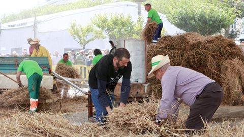 Meira celebra la Festa da Malla durante dos jornadas con demostraciones de esta antigua labor