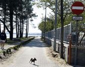 El acceso rodado y el aparcamiento a las playas de O Terr�n est� restringido.