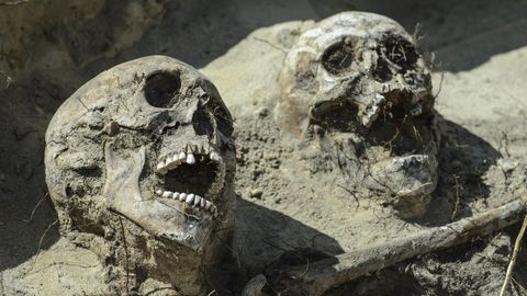 Restos humanos en una excavaci�n que podr�a ser una fosa com�n de la batalla de Zyrzyn, librada en 1863 al este de Polonia