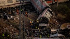 Efectivos de la UME y de otros equipos de emergencias trabajando en el lugar de la tragedia